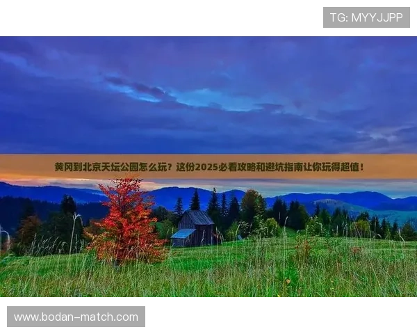 足球彩票与数字高频玩法避坑指南极速提现防骗 足球彩票与数字高频玩法避坑指南极速提现防骗